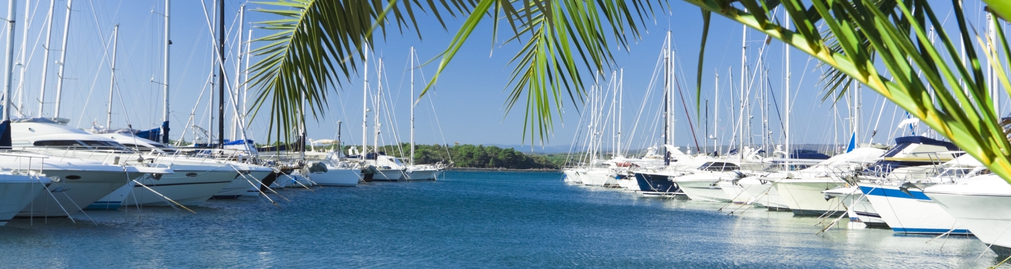 A view of the yachts dock in the pier during summer